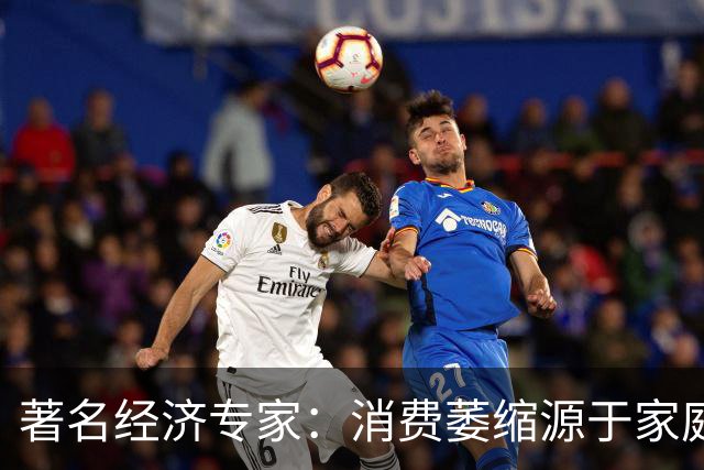 著名经济专家：消费萎缩源于家庭生活压力已到极限